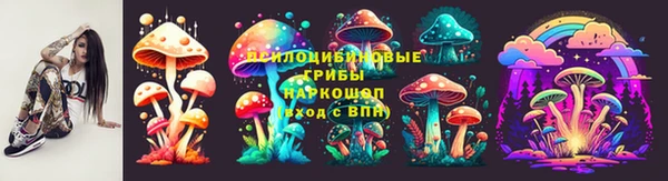 амф Балахна