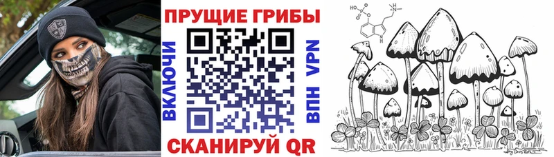 Галлюциногенные грибы мухоморы  mega как зайти  это клад  Спасск-Дальний 