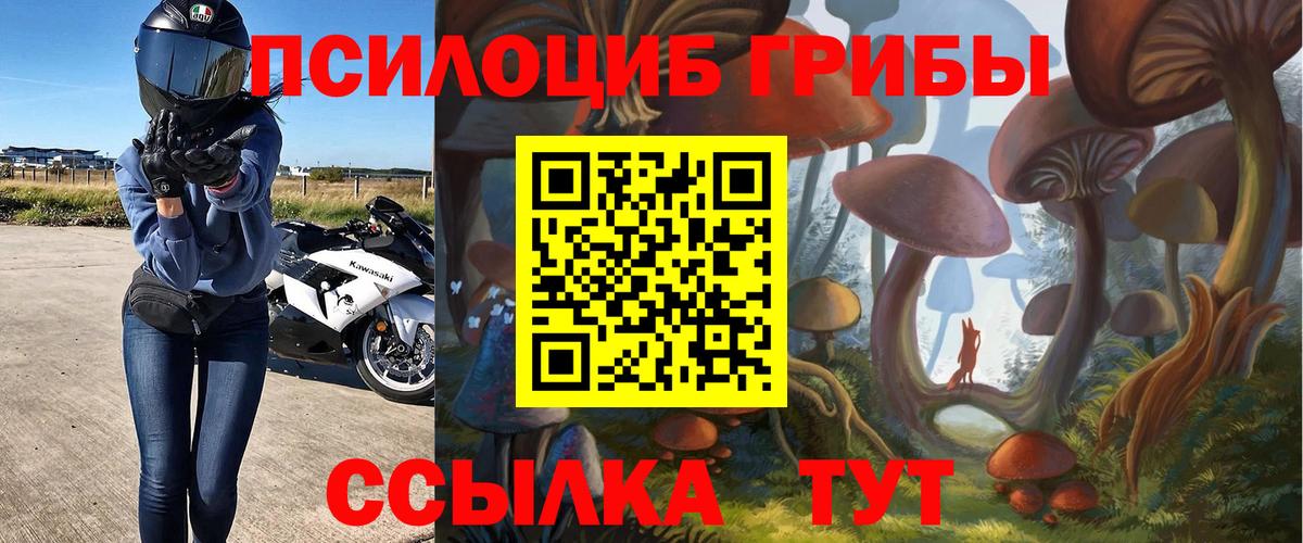 Спасск-Дальний  Псилоцибиновые грибы прущие грибы  Вход с VPN 