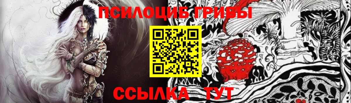 Галлюциногенные грибы GOLDEN TEACHER Спасск-Дальний